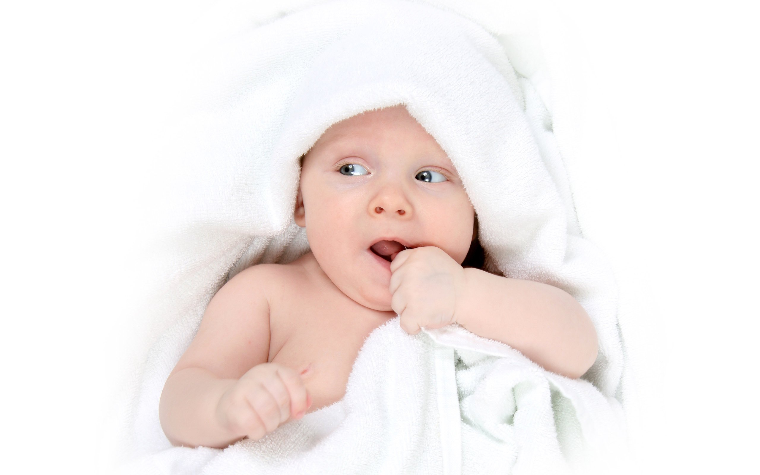捐卵机构联系方式试管婴儿都能成功吗